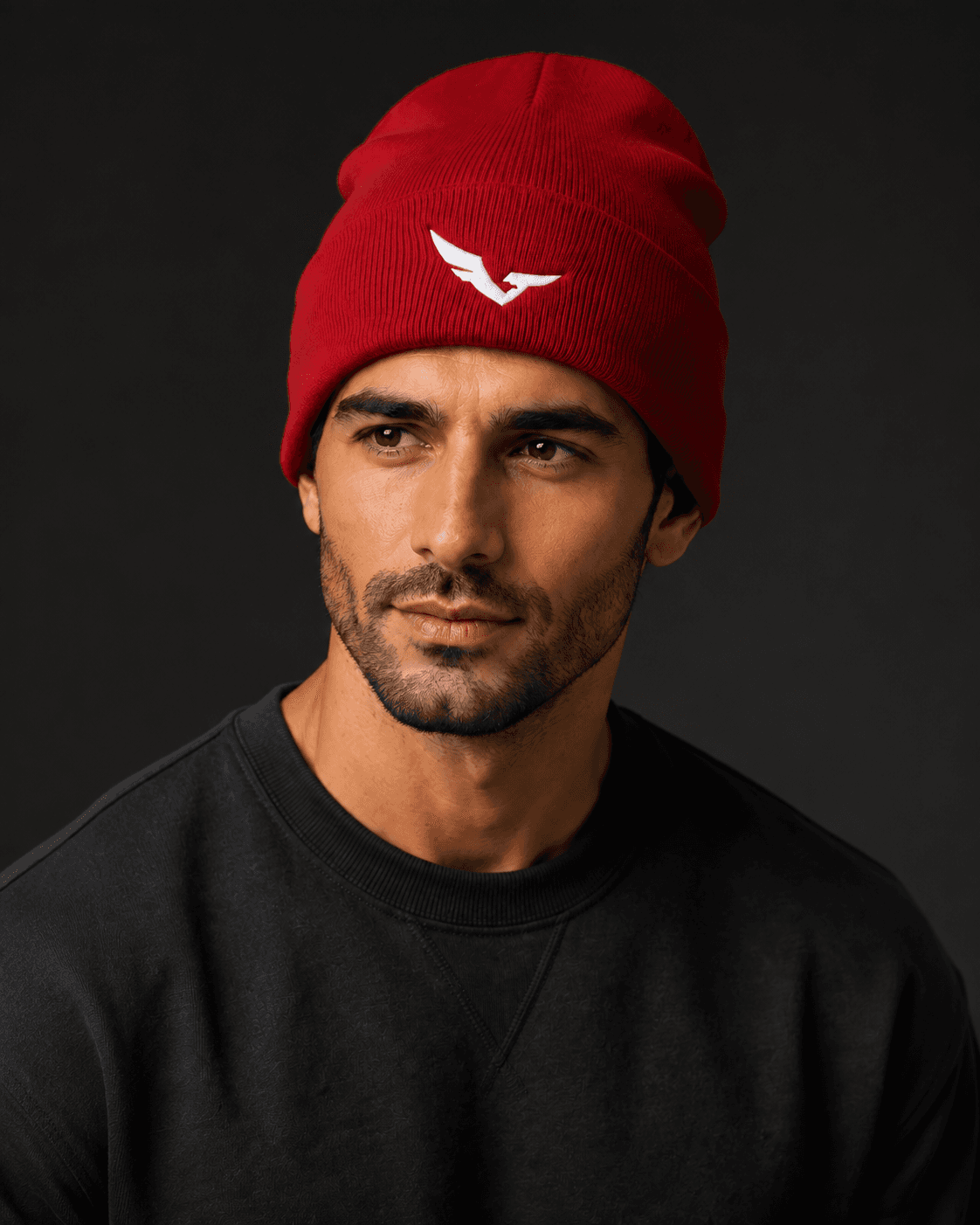SEGAL - Crimson Cuff Beanie, model studio rendering